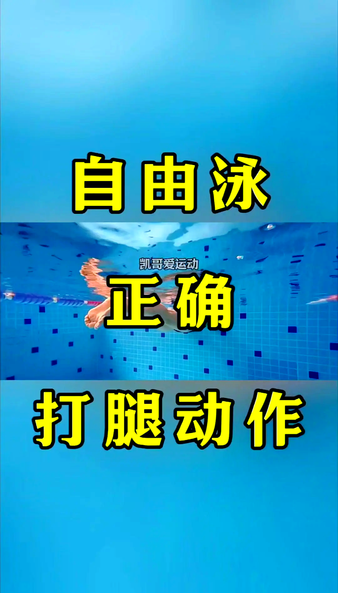 Freestyle kick (freestyle kick video)